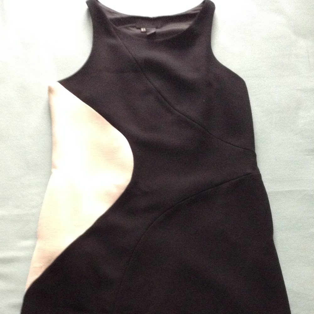 Zara black and white mini dress
